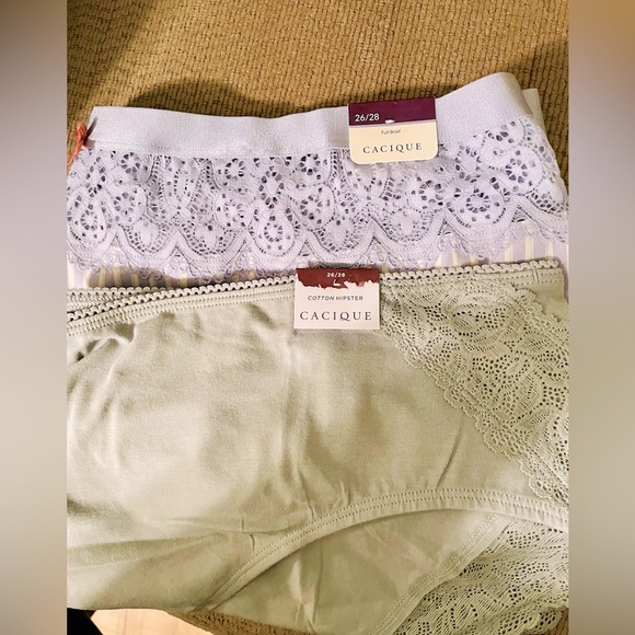 Panties Bundle (Lane Bryant) - Picture 1 of 7